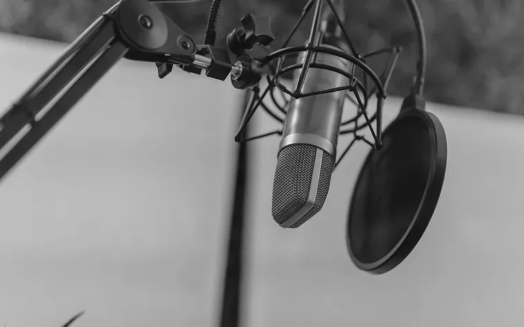 Studio microphone and pop filter