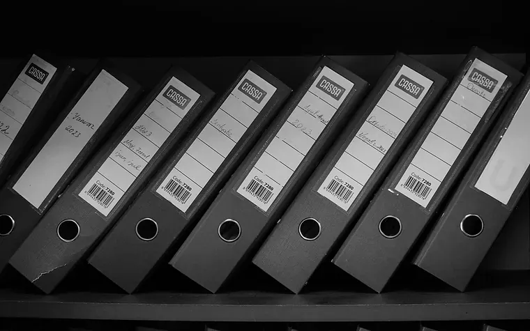 Row of ordered ring binders on a shelf